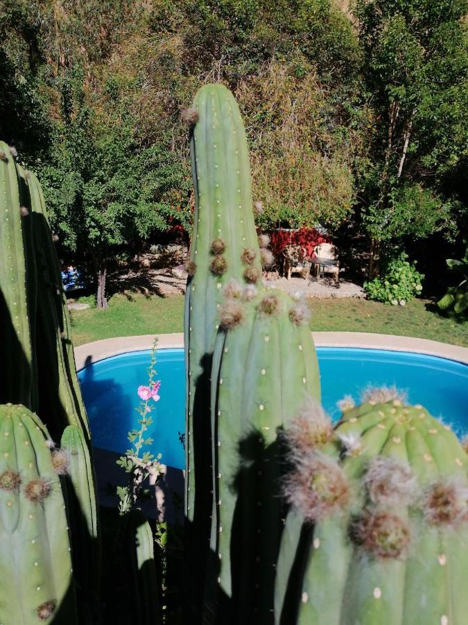 Aparthotel El Jardin Secreto-Pisco Elqui Extérieur photo